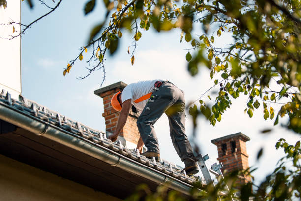 Roof Moss and Algae Removal in Mequon, WI