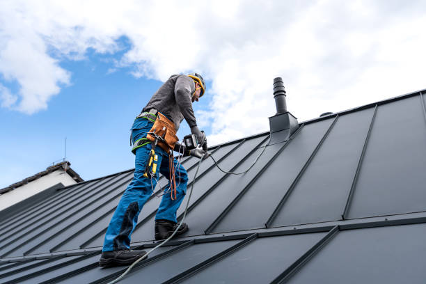 Best Roof Coating and Sealing  in Mequon, WI